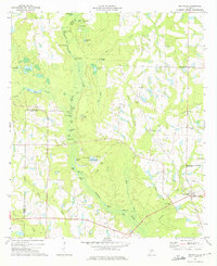 Irwinville 1973 topographic map thumbnail