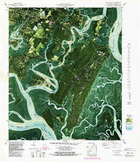 Isle of Hope 1979 topographic map thumbnail