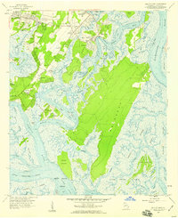 Isle of Hope 1957 topographic map preview