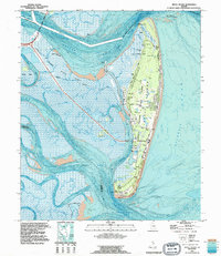 Jekyll Island 1993 topographic map thumbnail