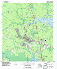 Kingsland 1993 topographic map thumbnail
