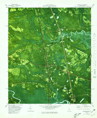Kingsland 1980 topographic map thumbnail