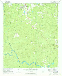 Lincoln Park 1971 topographic map thumbnail