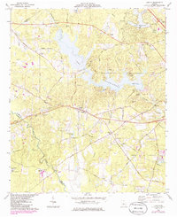 Lizella 1974 topographic map thumbnail