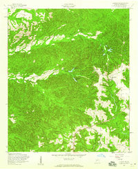 Lumpkin SW 1955 topographic map thumbnail
