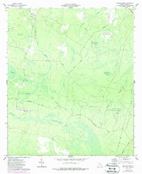Manningtown 1977 topographic map thumbnail