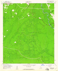 Meldrim SW 1958 topographic map thumbnail