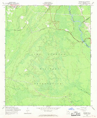 Meldrim SW 1958 topographic map thumbnail