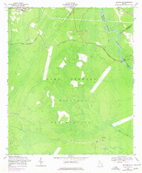 Meldrim SW 1958 topographic map thumbnail