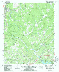 Mineral Bluff 1988 topographic map thumbnail