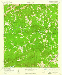 Mulberry Grove 1955 topographic map thumbnail