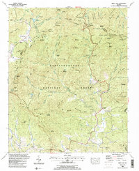Neels Gap topographic map thumbnail