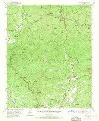 Neels Gap 1950 topographic map thumbnail
