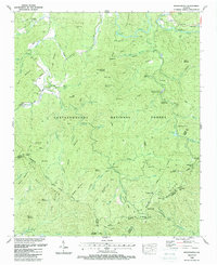 Noontootla 1988 topographic map thumbnail