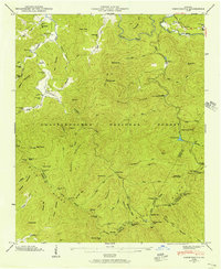 Noontootla 1946 topographic map thumbnail