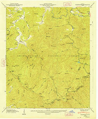 Noontootla 1947 topographic map thumbnail