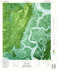Oak Level 1979 topographic map thumbnail
