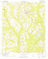 Ochlocknee 1974 topographic map thumbnail