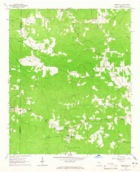 Odessadale 1964 topographic map thumbnail