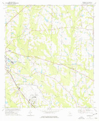 Pineboro 1974 topographic map thumbnail