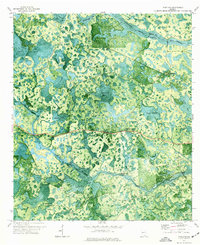 Pineland 1971 topographic map thumbnail