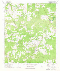 Pineview East 1972 topographic map thumbnail
