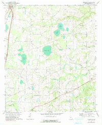 Pineview NW 1971 topographic map thumbnail
