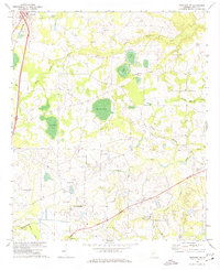 Pineview NW 1971 topographic map thumbnail