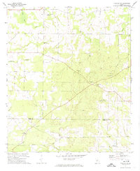 Pineview SW 1971 topographic map thumbnail
