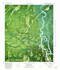 Port Wentworth 1980 topographic map thumbnail