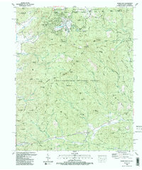 Rabun Bald 1988 topographic map thumbnail