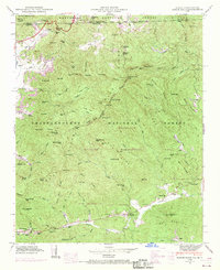 Rabun Bald 1946 topographic map thumbnail