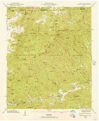 Rabun Bald 1946 topographic map thumbnail