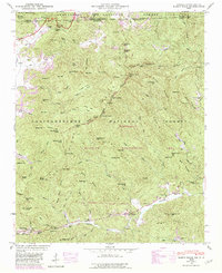 Rabun Bald 1946 topographic map thumbnail