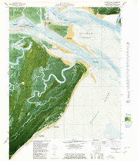 Raccoon Key 1979 topographic map thumbnail