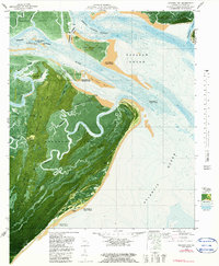Raccoon Key 1979 topographic map thumbnail
