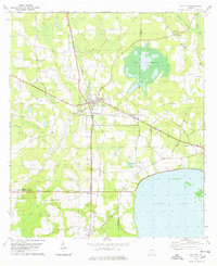 Ray City 1978 topographic map thumbnail