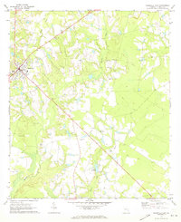 Reidsville East 1970 topographic map thumbnail