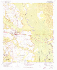 Reynolds 1971 topographic map thumbnail