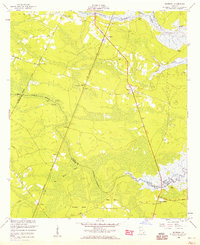 Riceboro 1955 topographic map thumbnail