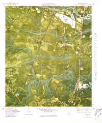 Riceboro 1980 topographic map thumbnail