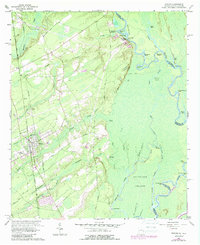Rincon 1962 topographic map thumbnail