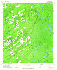 Rincon 1962 topographic map thumbnail