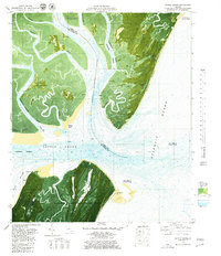 Sapelo Sound 1979 topographic map thumbnail