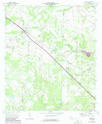Sasser 1973 topographic map thumbnail
