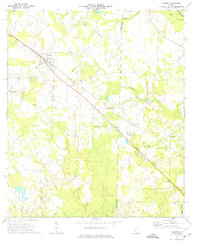 Sasser 1973 topographic map thumbnail