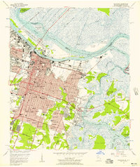 Savannah 1955 topographic map thumbnail