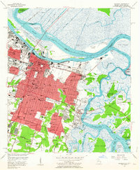 Savannah 1955 topographic map thumbnail