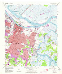 Savannah 1955 topographic map thumbnail