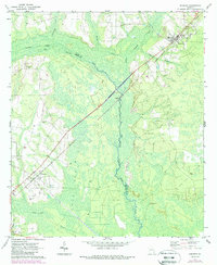 Screven 1971 topographic map thumbnail